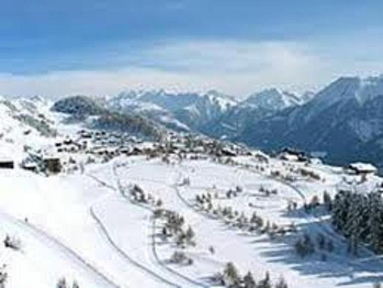 Marder Riederalp